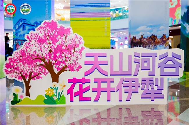 “山海”相逢，共赴“河谷”之约——“天山河谷·花开伊犁”2026春夏季文旅推介会走进青岛